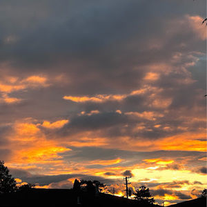 Meet your Posher, Iman